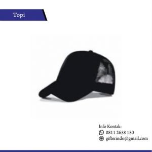Jenis jenis topi
